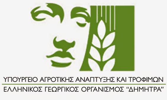 4877 F1627588750