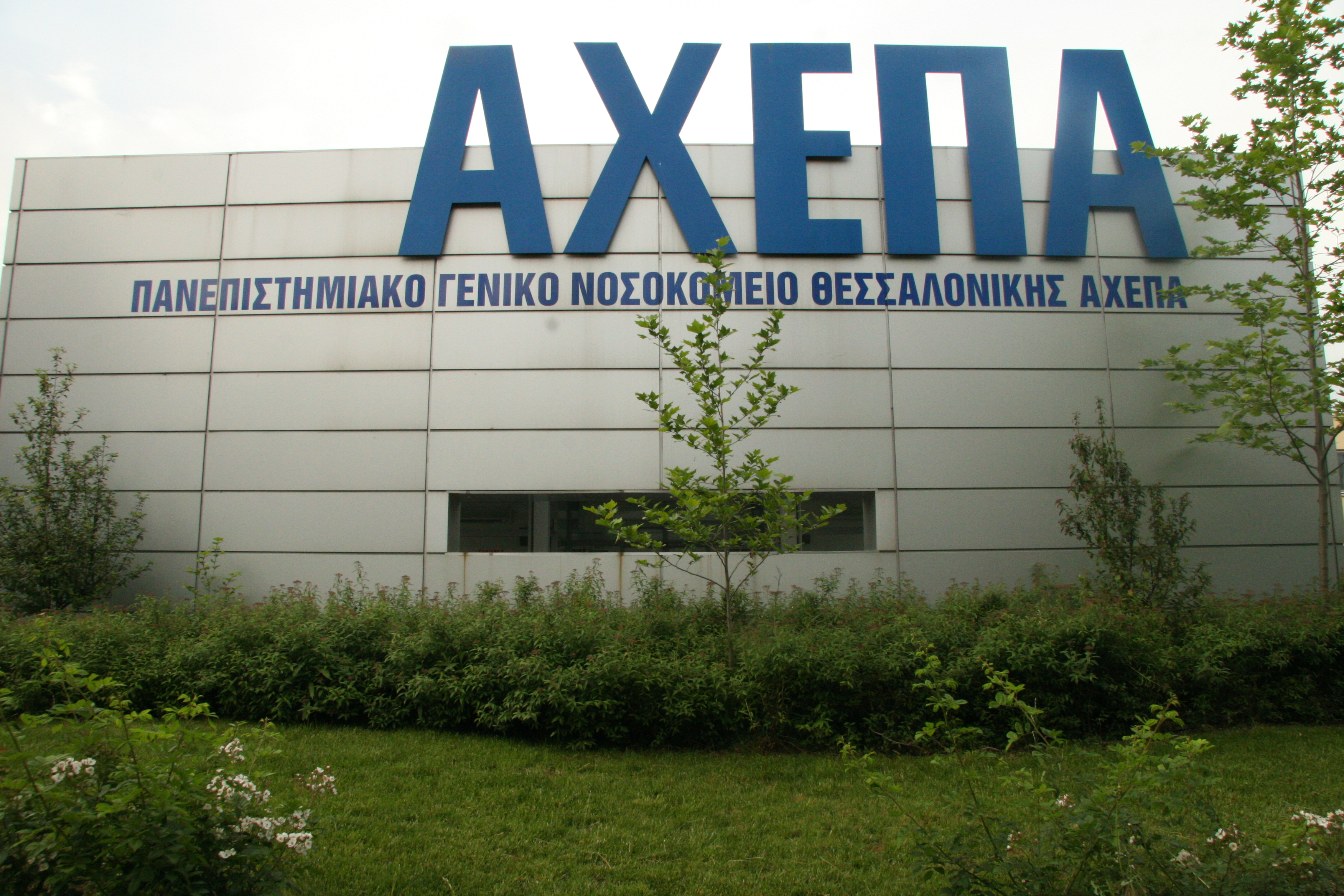achepa F1596422477