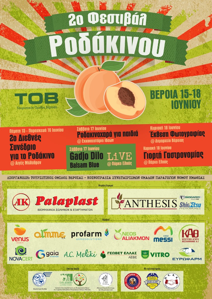 festival rodakinou2017 F1290102221