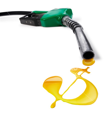 gas nozzle with fuel  F 460022884