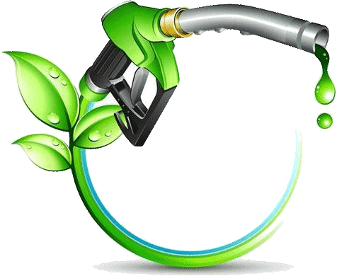 green pump F 1072079495