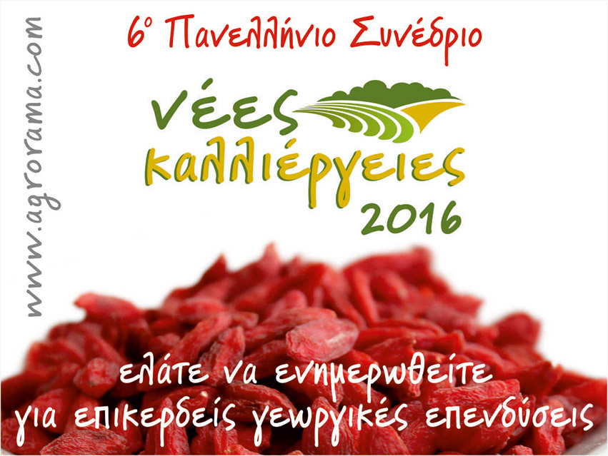 nees kalliergeies F 1171409117