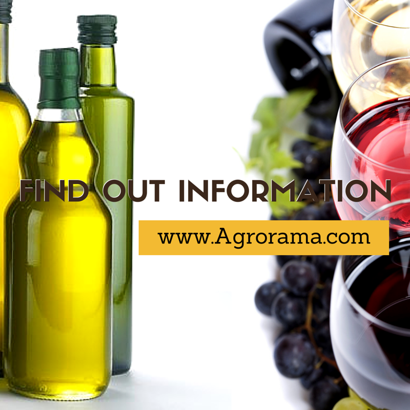 olive oil and wine2 F 1785380324