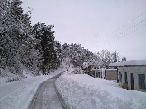 rodavgi xioni dromos F 121135482
